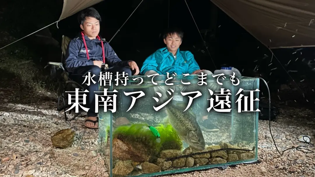 魅力あふれる東南アジアの魚たちを現地水槽で届けたい！のサムネイル